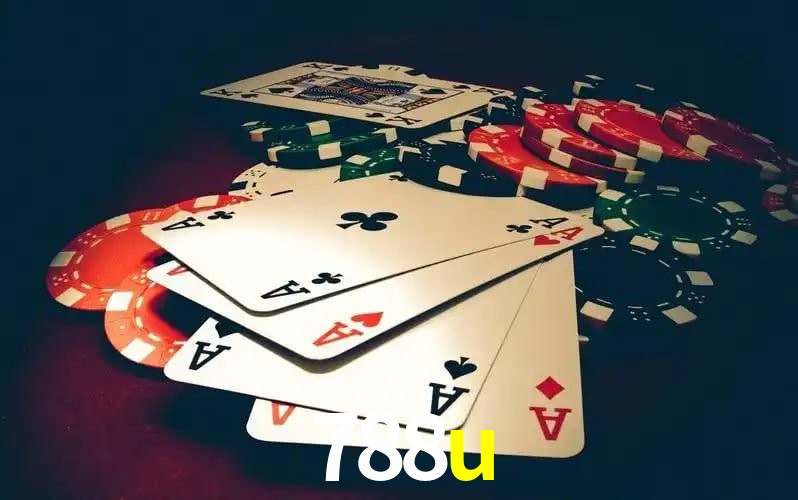788u visual 2